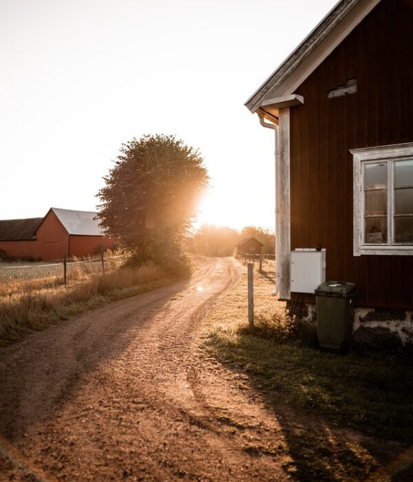 john-fornander-RKNrEIhpt98-unsplash